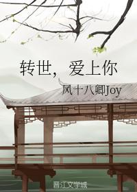 转世，爱上你封面