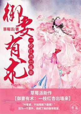 御妻有术：一枝红杏出墻来封面