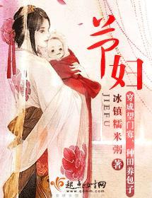 节妇封面