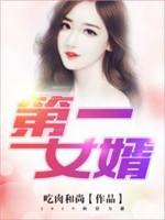 第一女婿封面