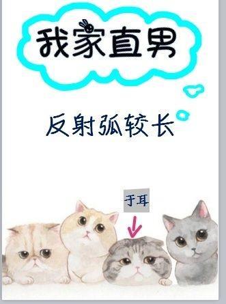 我家直男反射弧较长封面
