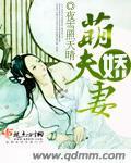 萌夫娇妻封面