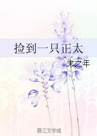捡到一只正太封面