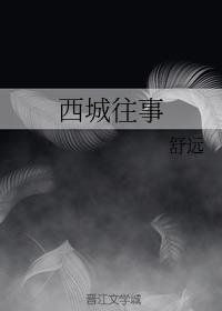 西城往事封面
