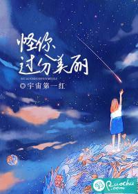 怪你过分美丽封面