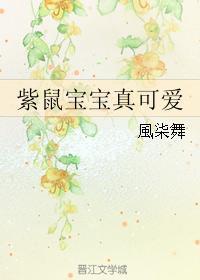 紫鼠宝宝真可爱封面