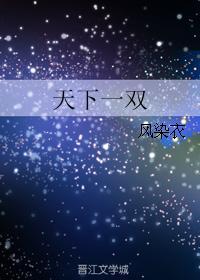天下一双封面