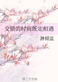 交错的时间既定相遇封面