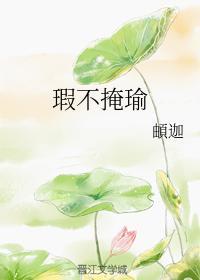 瑕不掩瑜封面