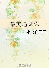 最美遇见你封面