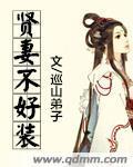 贤妻不好装封面