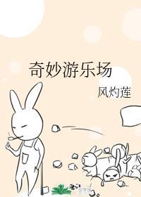 奇妙游乐场封面