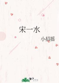 宋一水封面