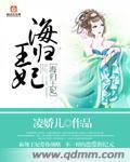 海归王妃封面