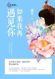 如果我再遇见你封面