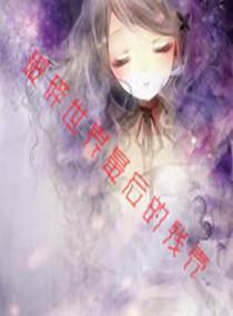 破碎世界最后的残壳封面