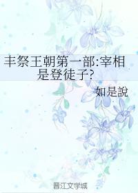 宰相是登徒子封面