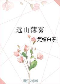 远山薄雾封面