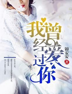 我曾经爱过你封面