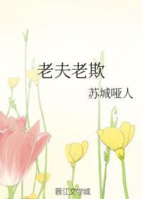 老夫老欺封面