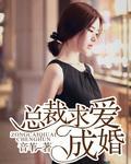 总裁求爱成婚封面