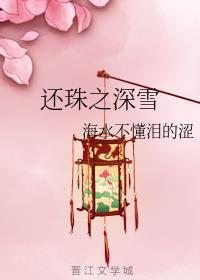 还珠之深雪封面