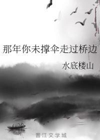 那年你未撑伞走过桥边封面