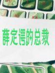 薛定谔的总裁封面