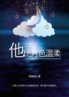 他比月色温柔封面