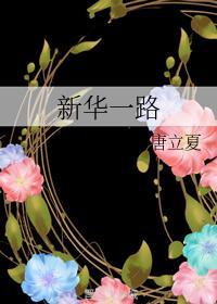 新华一路封面
