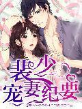 裴少宠婚纪要封面
