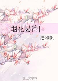烟花易冷封面
