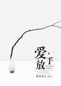 爱·放手封面