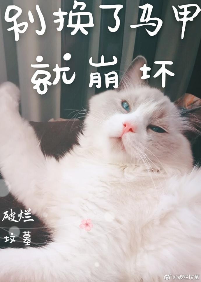 别换了马甲就崩坏封面