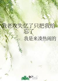 我老攻失忆了只把我给忘了封面