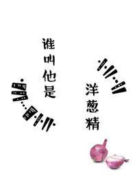 谁叫他是洋葱精封面