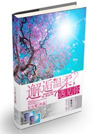 邂逅温柔，遇见你封面