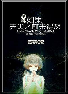 如果天黑之前来得及封面