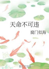 天命不可违封面