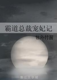 霸道总裁宠妃记封面