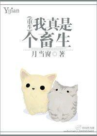 我真是个阿汪（重生）封面