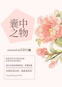 囊中之物封面