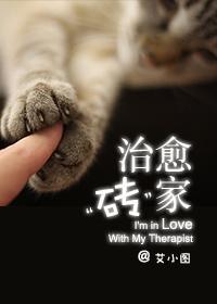 治愈砖家封面