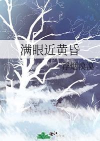 满眼近黄昏封面