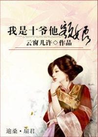 我是十爷他额娘封面