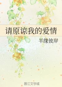 请原谅我的爱情封面