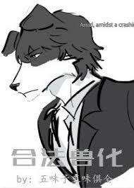 合法兽化封面