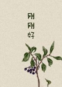 刚刚好封面