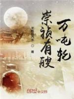 崇祯有艘万吨轮封面