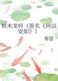 何以安如封面